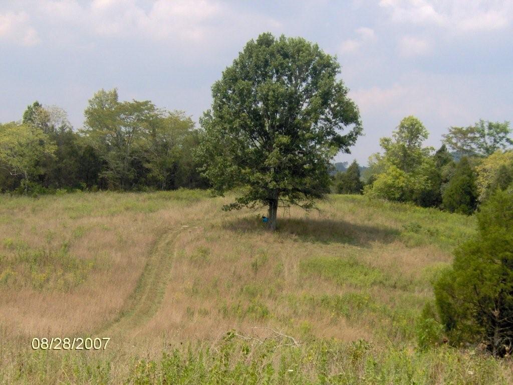 448 Acres Russel County